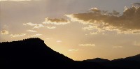 Conservation Nation: Lesson Overivew