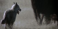 Conservation Nation: Video Segments: The Wolf that Changed America Conservation Nation: Video Segments: The Wolf that Changed America