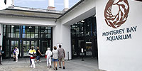 Oceans in Glass: Behind the Scenes of the Monterey Bay Aquarium: Introduction