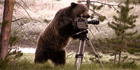 The Good, the Bad, and the Grizzly: Interview: Filmmaker Shane Moore