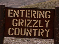 The Good, the Bad, and the Grizzly: Video: Full Episode