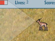 The Cheetah Orphans: Game: Toki’s Survival Challenge