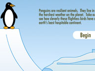 Penguins of the Antarctic: Penguin Secrets of Survival Challenge
