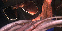 Encountering Sea Monsters: Video: Humboldt Squid Makes Contact