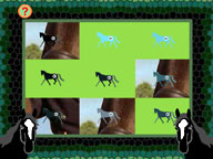 Horse and Rider: Play Animal Scramble
