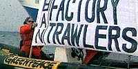 A Mystery in Alaska: Video: Are Fisheries Guilty?