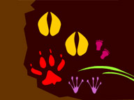 post thumbnail videopage