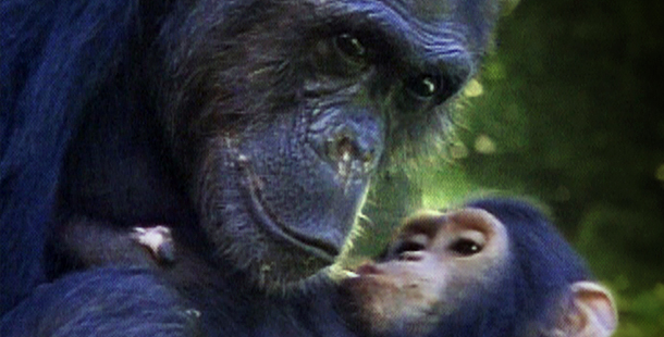 Mother & Child
