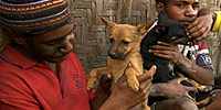 Dogs That Changed the World: Video: Behind the Scenes