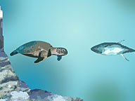 Voyage of the Lonely Turtle: Turtle Voyager Game
