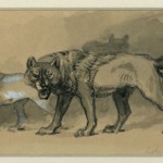 “Lobo and Blanca”