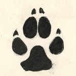 “Wolf Track”