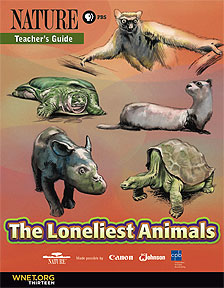 The Loneliest Animals Teacher\'s Guide