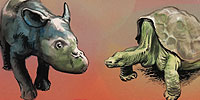 The Loneliest Animals: Teacher’s Guide