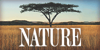 Download the NATURE Remixes