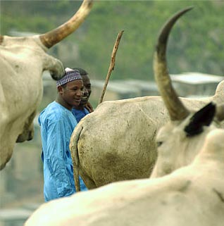 In Nigeria