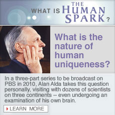 What is the nature of human uniqueness
