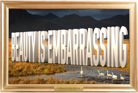 bucolic country scene with words BEAUTY IS EMBARRASSING in foreground