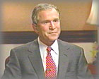Bush
