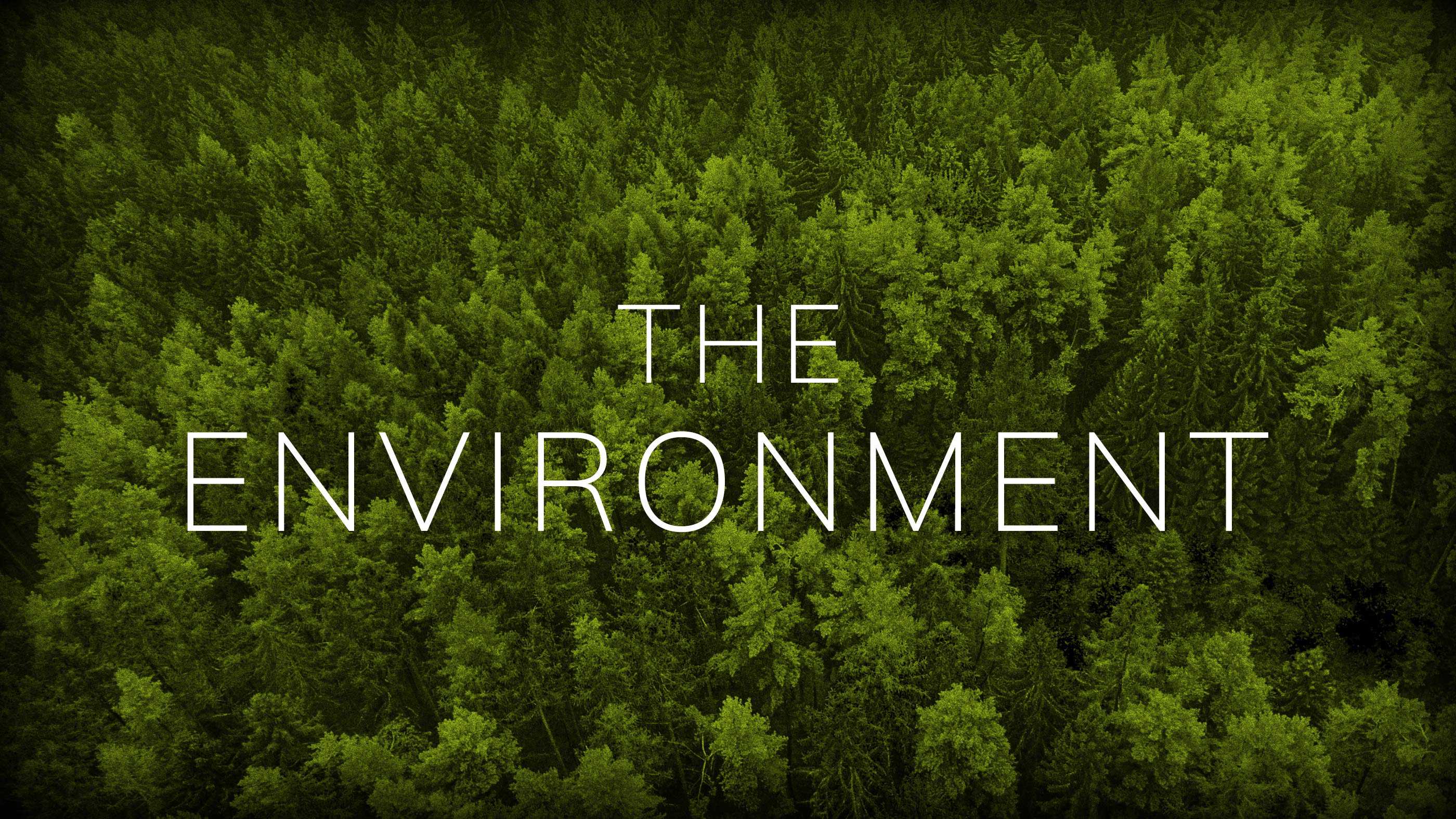 The Environment | American Experience | Official Site | PBS