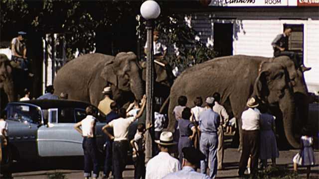 The Circus | Trailer