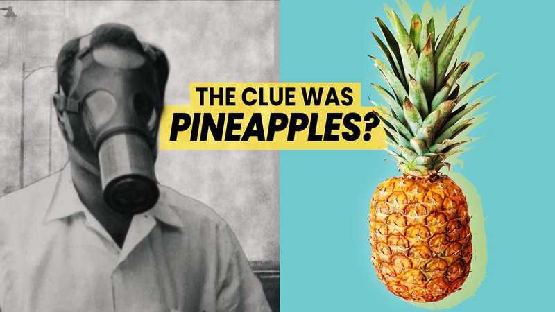 The mystery of L.A.’s smog revealed