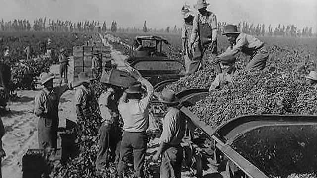 Historical wine making in America