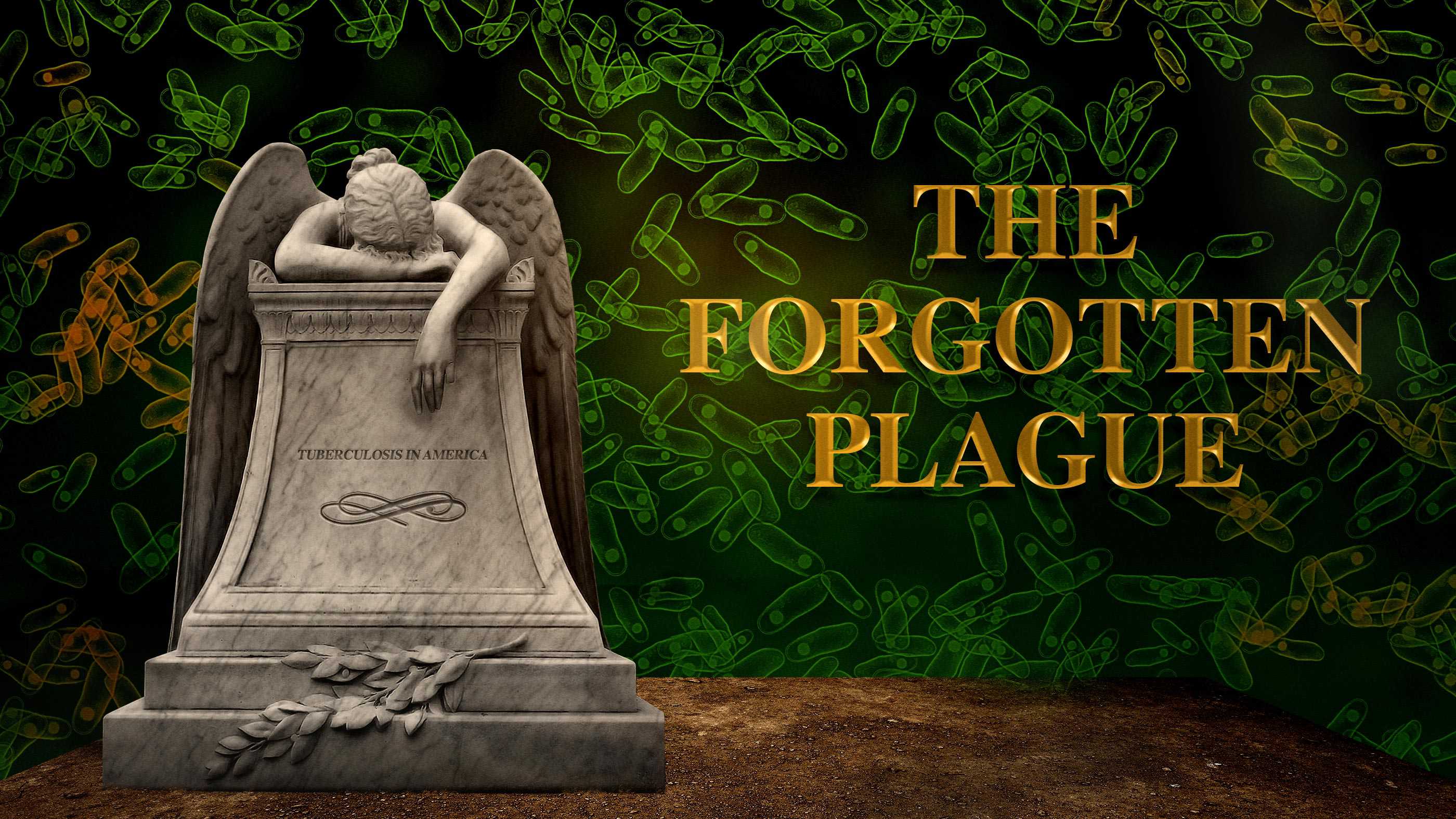 Watch The Plague American Experience Official Site PBS