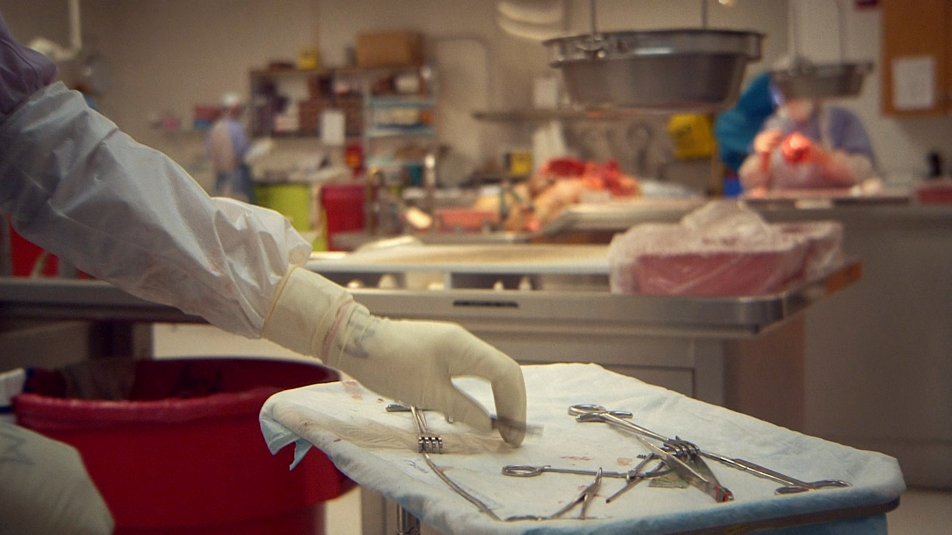 Who Are You Calling a Death Investigator?