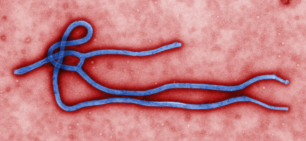 Ebola Outbreak