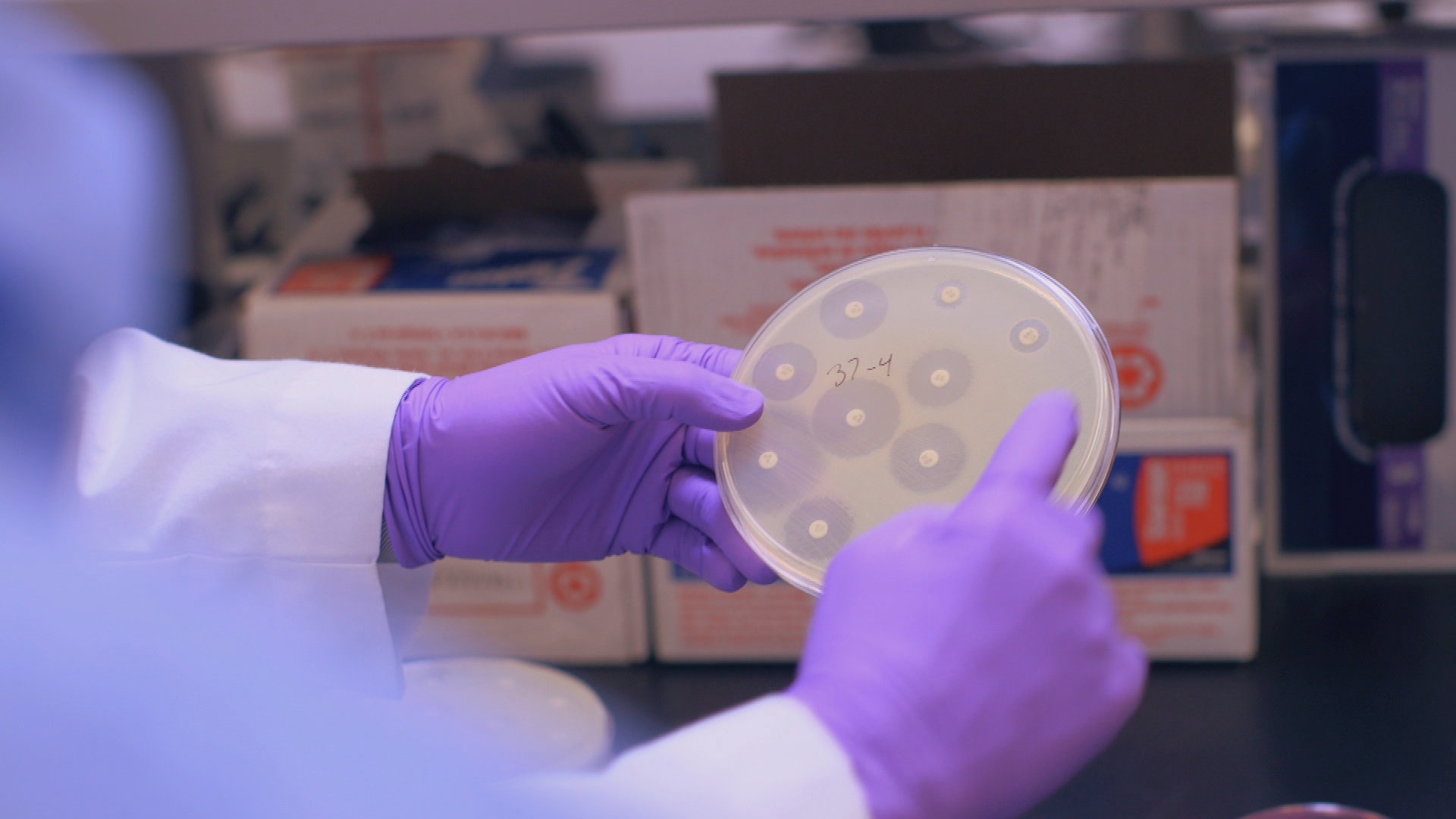 New Report Details the Economic Costs of Superbug Threat