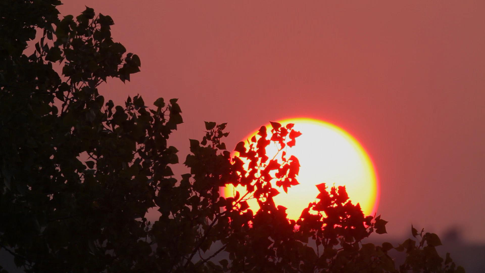 What Climate Change Skeptics Think About the UN Report