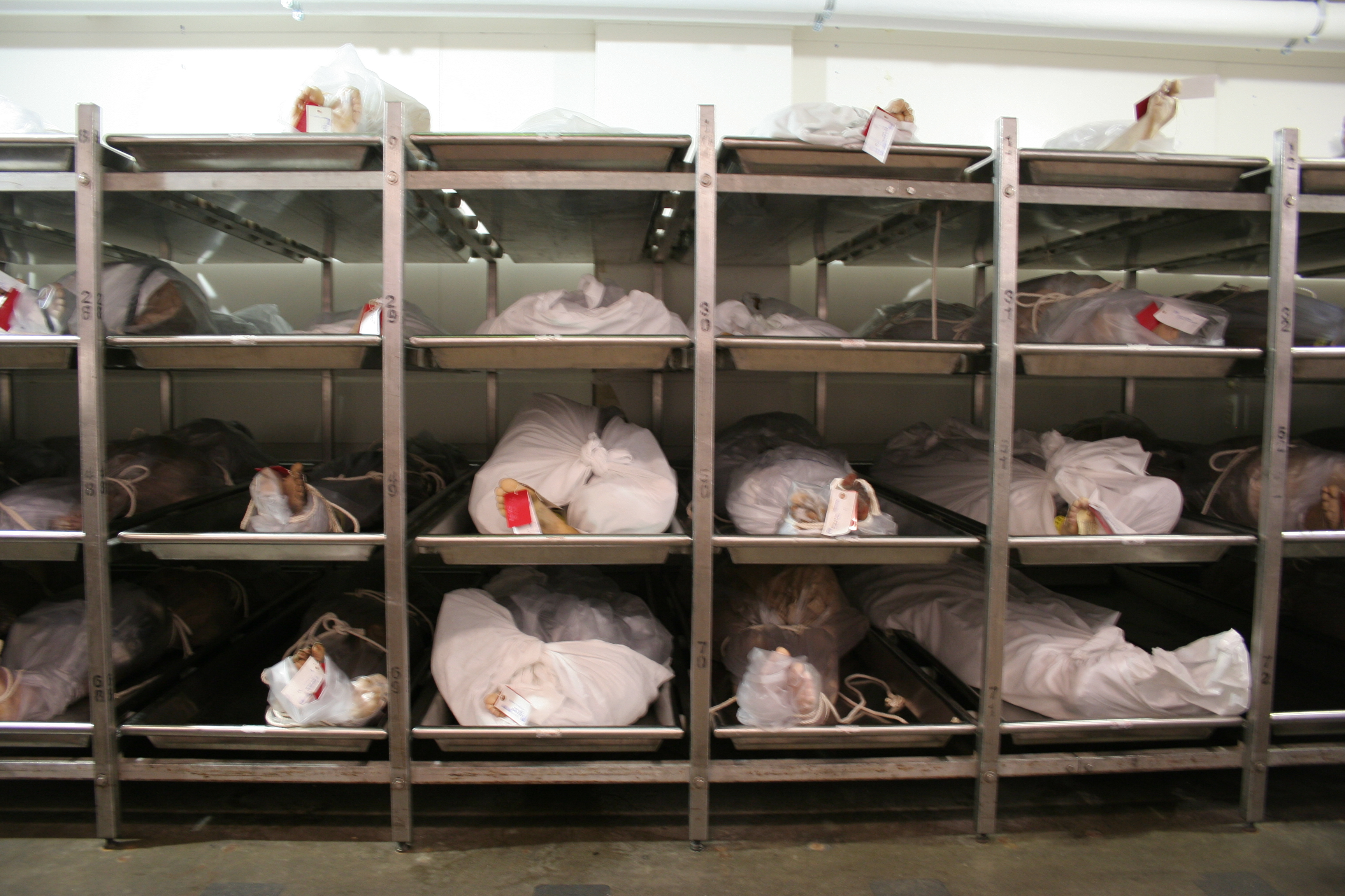 Lobbying for an Accidental Death?