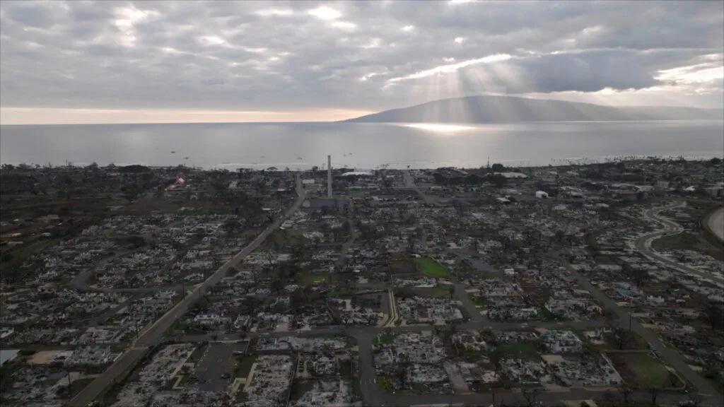 An aerial view of a coast with numerous structures burned down in the Lahaina wildfire and hills in the far back.