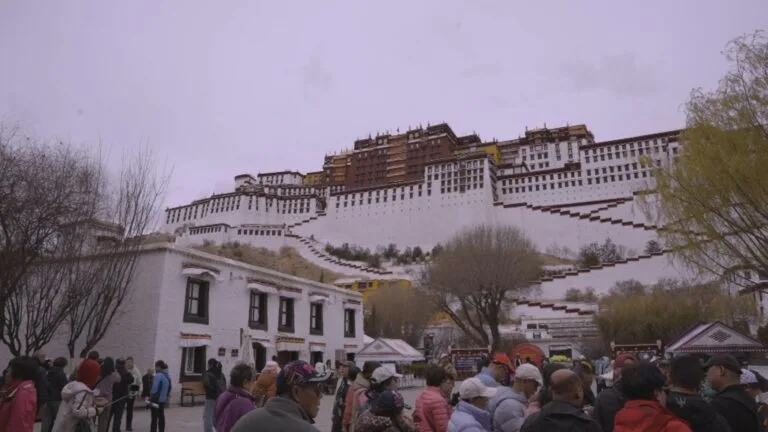 Life in Tibet and What Comes Next