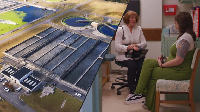 Forever Chemicals, Carpet Companies and a ‘Crisis That’s Not Fully Understood’