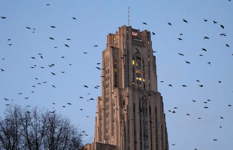 Predicting Outbreaks