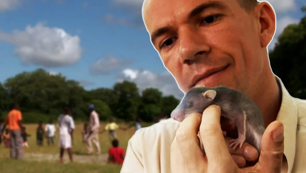 Bart Weetjens with a baby African giant pouched rat, in a composite image drawn from visuals that appear in the 2007 short documentary 'Tanzania: Hero Rats.' The documentary traces how Weetjens trained rats to sniff out deadly landmines and save lives.