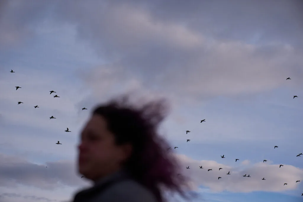The sky at twilight or dawn with birds flying in the background and a woman's figure in the foreground, out of focus.