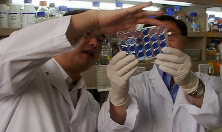 Researchers race to combat SARS in an image from the 2003 FRONTLINE/World documentary 'Hong Kong: Chasing the Virus.'