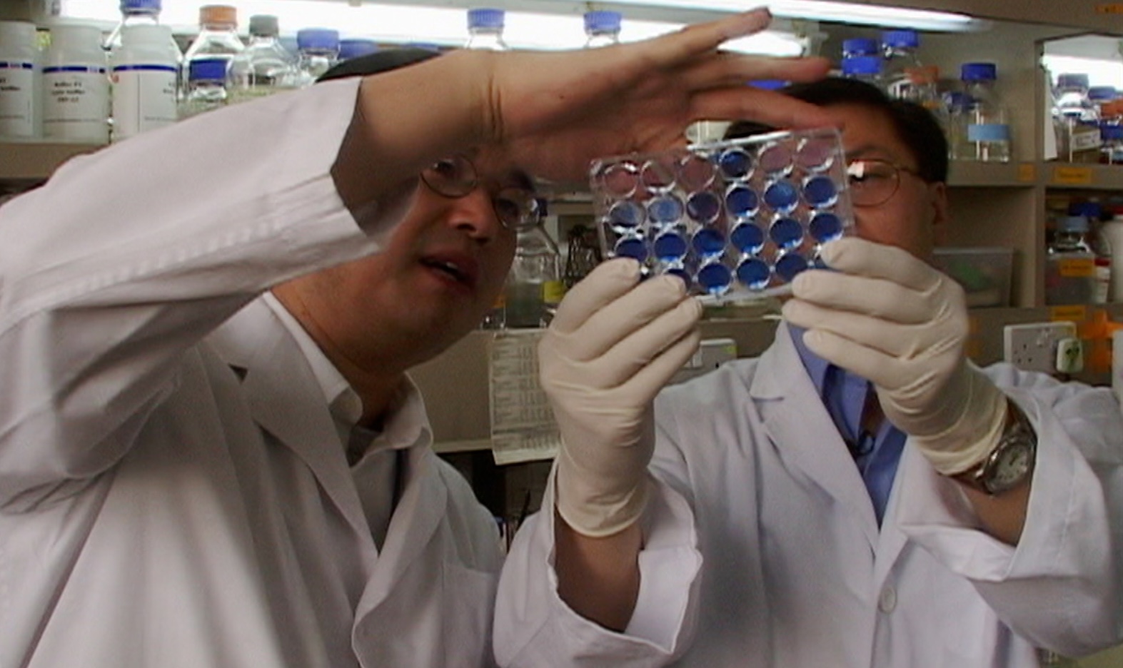 headline: How the SARS Outbreak — and the Fight Against It —