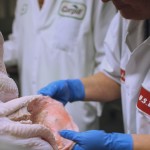 Lawmakers Push Two Food Safety Bills After FRONTLINE Investigation