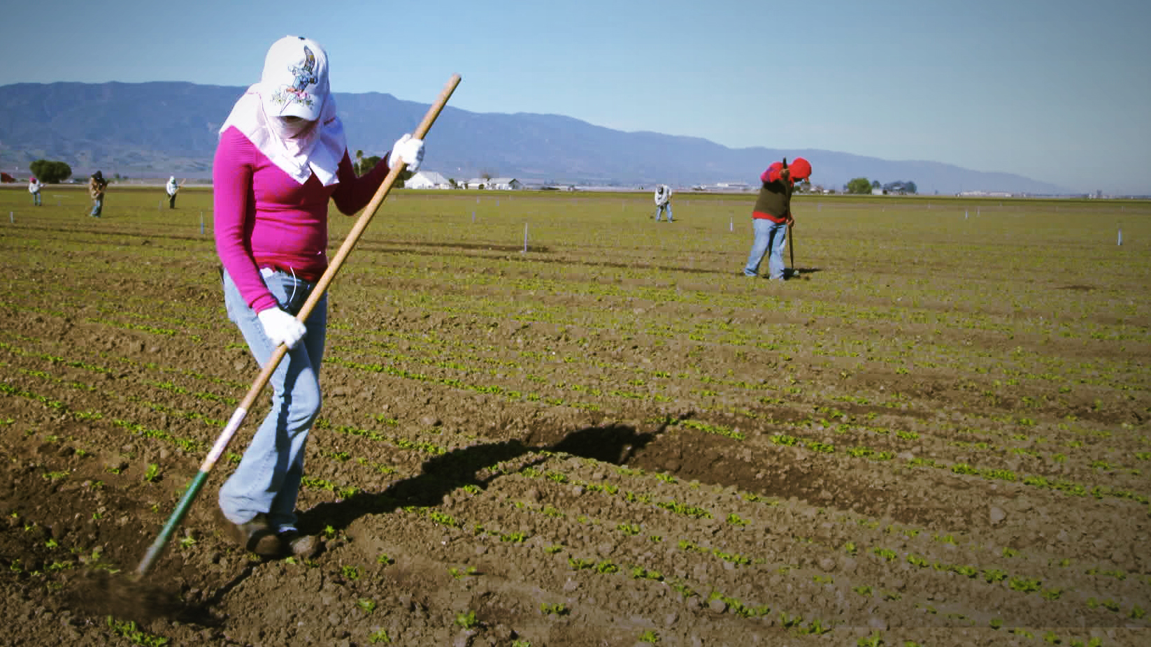 Rape in the Fields | FRONTLINE