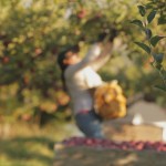 California Enacts Bill to Protect Female Farmworkers From Sex Abuse