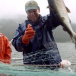 Q&A: Why Paul Greenberg Spent a Year of His Life Eating Fish