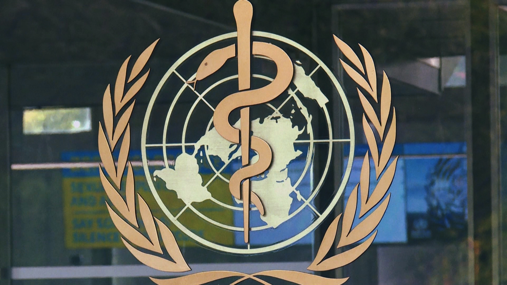 Jan 1 2020 WHO logo