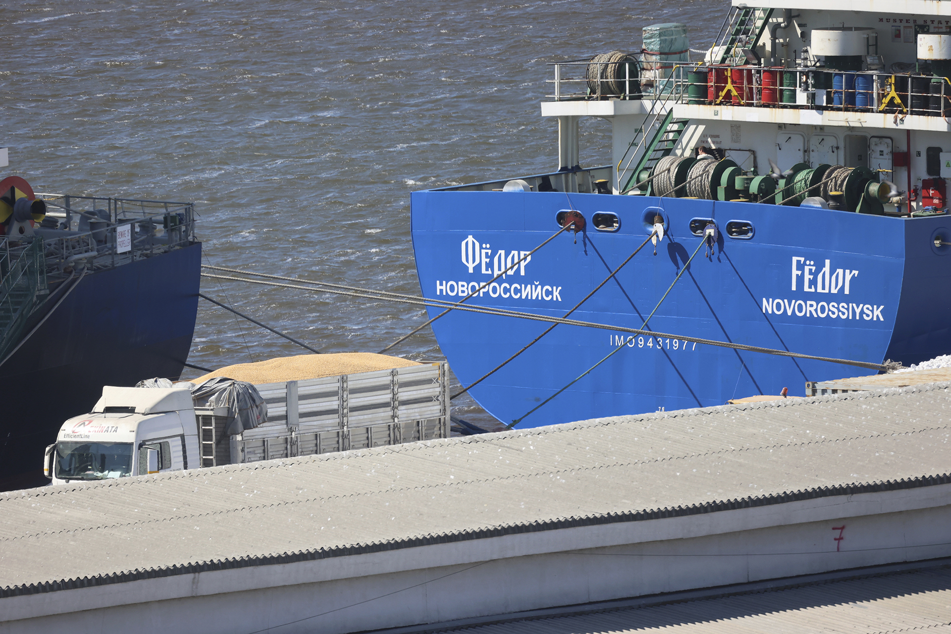 Grain from the cargo ship Russian-owned Fedor is loaded onto trucks in Bandirma, Turkey, on June 17, 2022. The grain, which satellite imagery shows was loaded at the Russian-occupied Ukrainian port of Sevastopol, Crimea, was purchased by the Turkish food company Yayla Agro. A spokesman for the company said it had been provided documents stating the cargo had come from the small Russian port of Kavkaz, more than 160 miles to the east of Sevastopol. (AP Photo/Yoruk Isik)