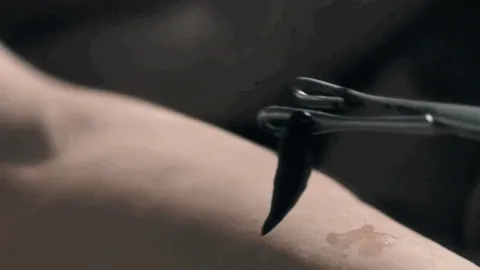 This description is placeholder