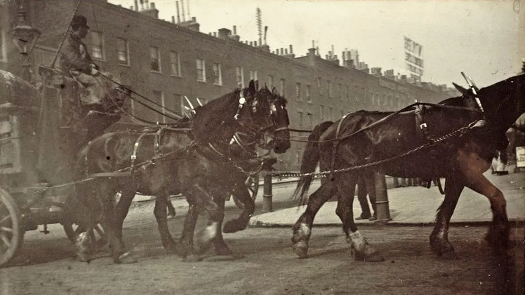 This description is placeholder