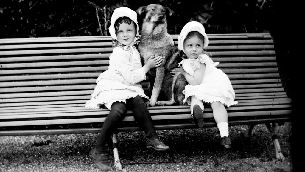 This description is placeholder